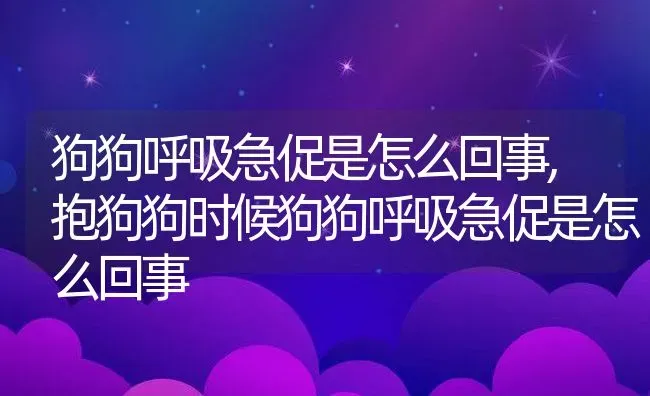 狗狗呼吸急促是怎么回事,抱狗狗时候狗狗呼吸急促是怎么回事 | 宠物百科知识