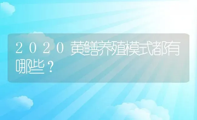 2020黄鳝养殖模式都有哪些？ | 动物养殖百科