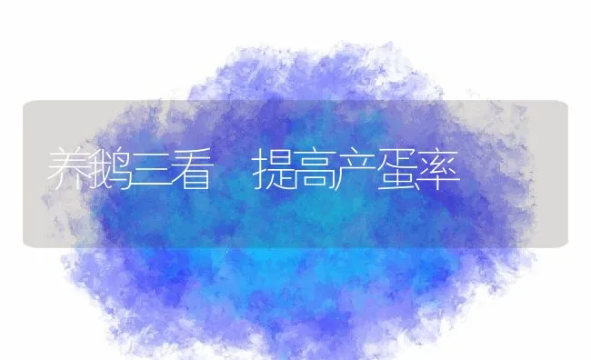 蛋鸡维持高产蛋率的方法 | 动物养殖学堂