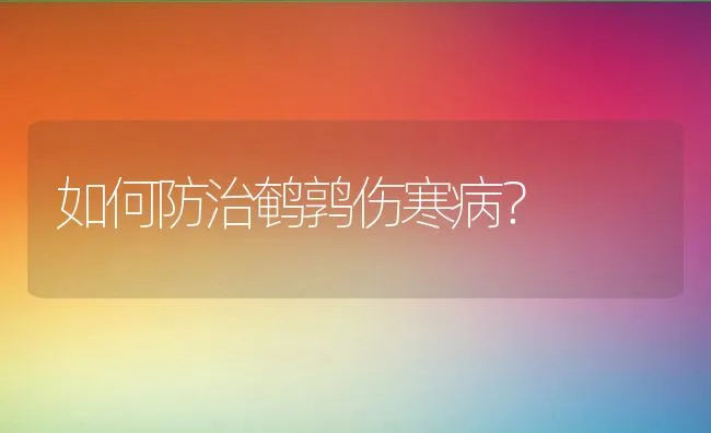 如何防治鹌鹑伤寒病？ | 动物养殖学堂