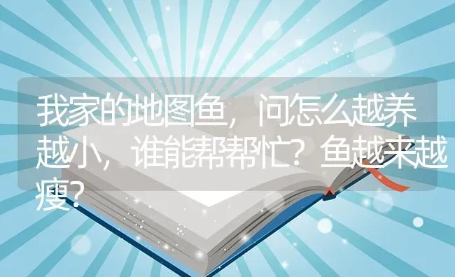 我家的地图鱼，问怎么越养越小，谁能帮帮忙？鱼越来越瘦？ | 鱼类宠物饲养