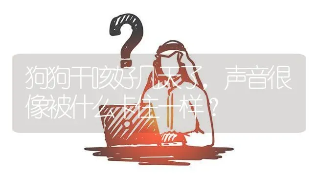 女生适合养公金毛还是母金毛？ | 动物养殖问答