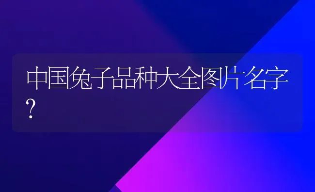 中国兔子品种大全图片名字？ | 动物养殖问答