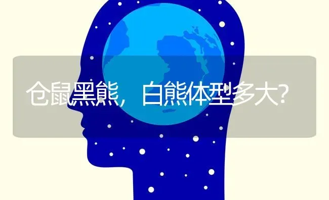 仓鼠黑熊，白熊体型多大？ | 动物养殖问答