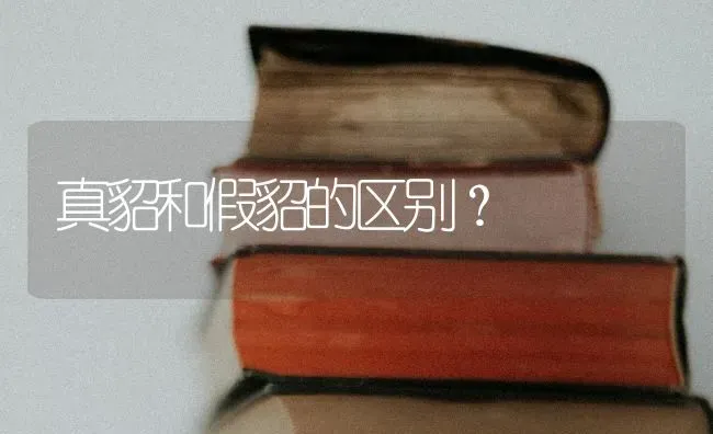 真貂和假貂的区别？ | 动物养殖问答