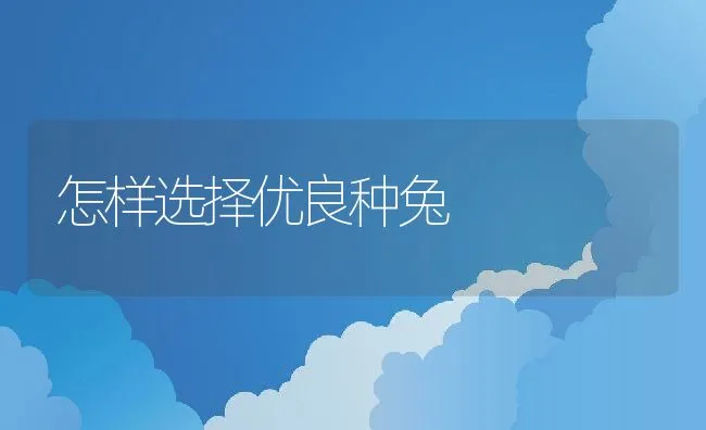 怎样选择优良种兔 | 水产养殖知识