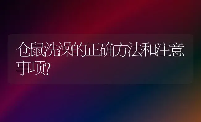 仓鼠洗澡的正确方法和注意事项？ | 动物养殖问答