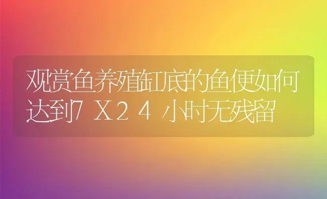 观赏鱼养殖缸底的鱼便如何达到7X24小时无残留 | 动物养殖教程