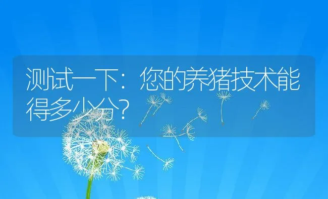 测试一下：您的养猪技术能得多少分？ | 动物养殖学堂