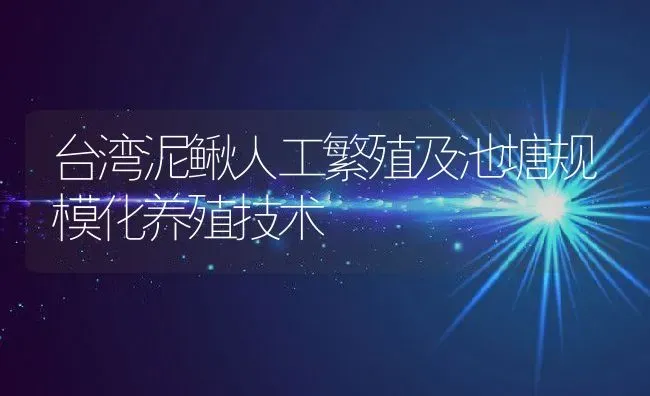 台湾泥鳅人工繁殖及池塘规模化养殖技术 | 动物养殖教程