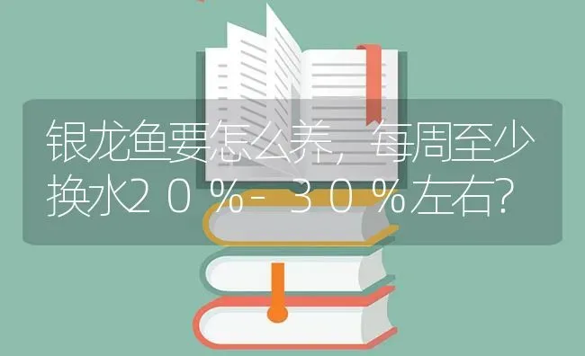 银龙鱼要怎么养，每周至少换水20%-30%左右？ | 鱼类宠物饲养