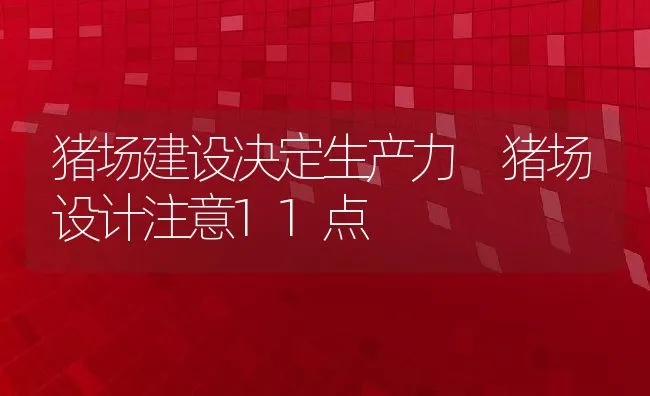 猪场建设决定生产力 猪场设计注意11点 | 动物养殖学堂