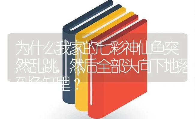 为什么我家的七彩神仙鱼突然乱跳，然后全部头向下地落到鱼缸里？ | 鱼类宠物饲养