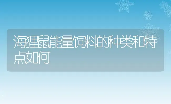 海狸鼠能量饲料的种类和特点如何 | 动物养殖教程