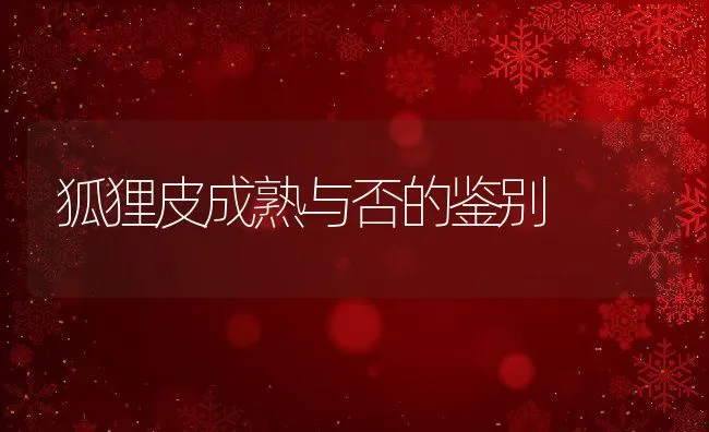 獭兔不同生理阶段常见病的诊断与防治 | 动物养殖学堂