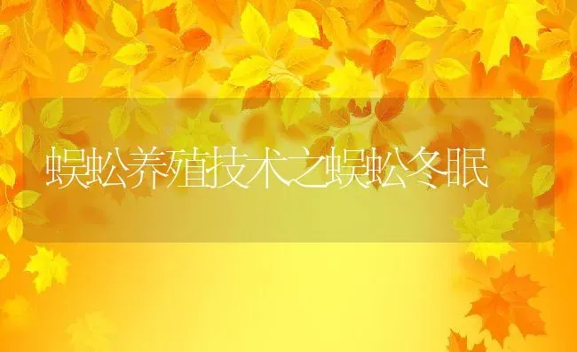 蜈蚣养殖技术之蜈蚣冬眠 | 特种养殖技术