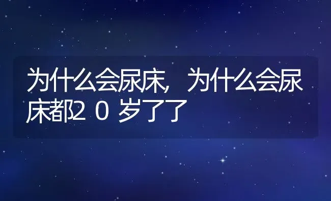 为什么会尿床,为什么会尿床都20岁了了 | 宠物百科知识