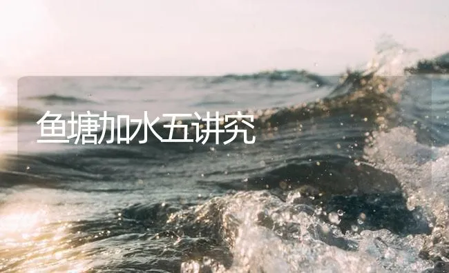 鱼塘加水五讲究 | 海水养殖技术