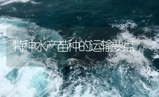 特种水产苗种的运输要点 | 海水养殖技术