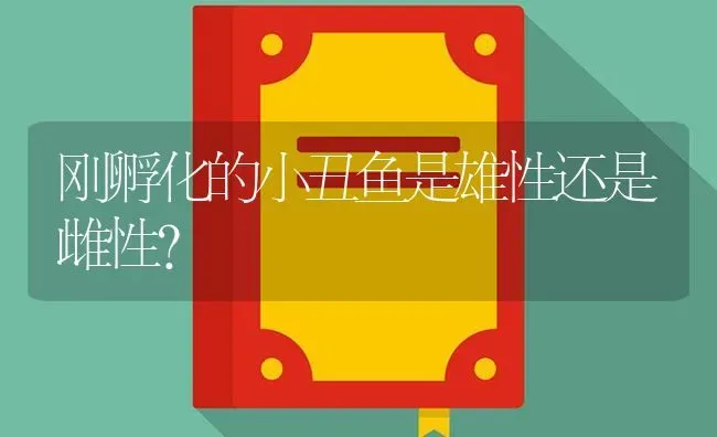 刚孵化的小丑鱼是雄性还是雌性？ | 鱼类宠物饲养