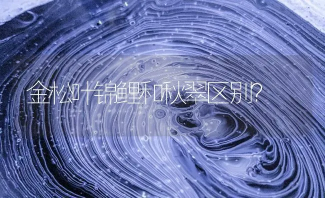 金松叶锦鲤和秋翠区别？ | 鱼类宠物饲养