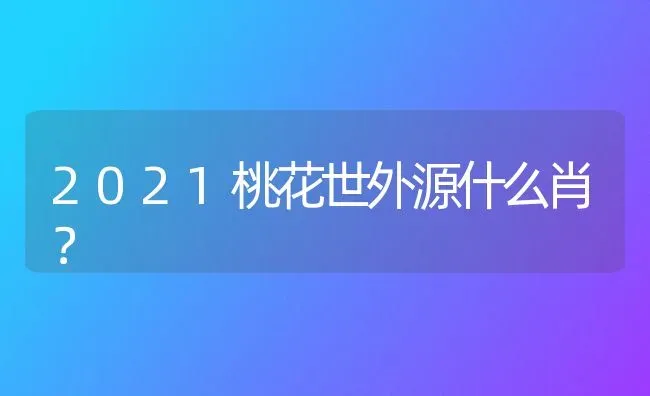 什么样的大型犬最好，最漂亮？ | 动物养殖问答