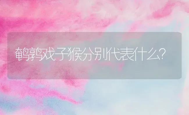 鹌鹑戏子猴分别代表什么？ | 动物养殖问答