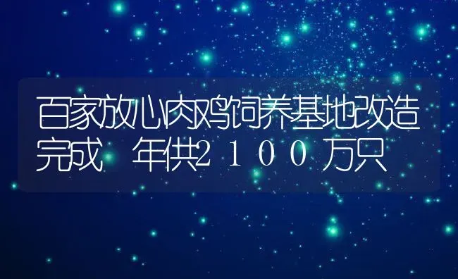 百家放心肉鸡饲养基地改造完成 年供2100万只 | 动物养殖教程