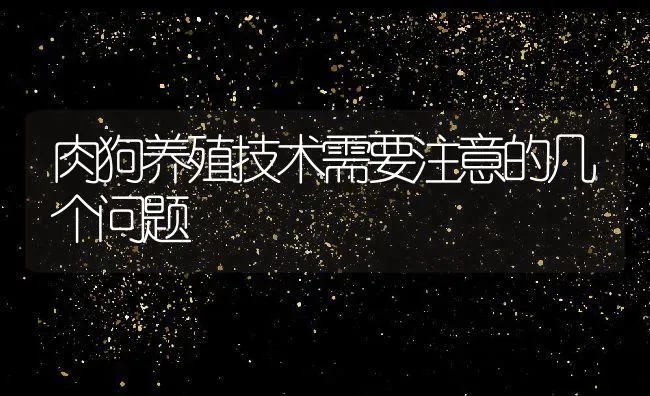 肉狗养殖技术需要注意的几个问题 | 动物养殖教程