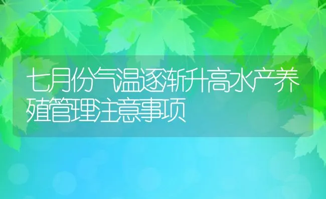 七月份气温逐渐升高水产养殖管理注意事项 | 动物养殖饲料