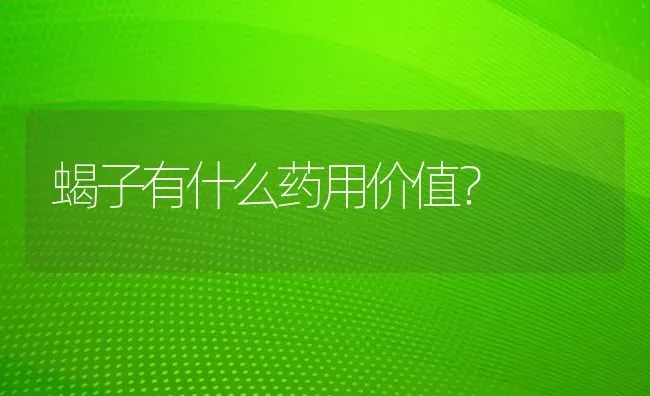 蝎子有什么药用价值？ | 动物养殖问答