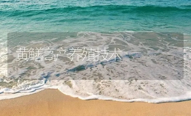 黄鳝高产养殖技术 | 海水养殖技术