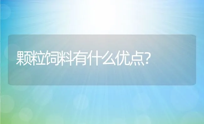 颗粒饲料有什么优点？ | 动物养殖饲料