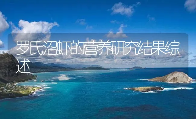 沼渣养殖泥鳅四要点 | 海水养殖技术