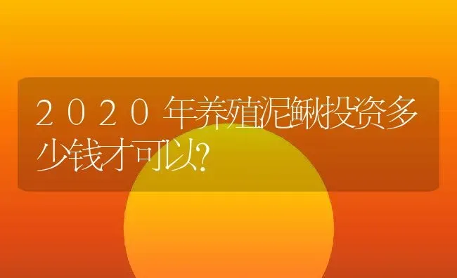 2020年养殖泥鳅投资多少钱才可以？ | 动物养殖百科