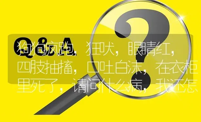 狗狗疯跑，狂吠，眼睛红，四肢抽搐，口吐白沫，在衣柜里死了，请问什么病，我还怎么处理衣服？ | 动物养殖问答