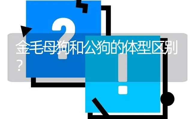 金毛母狗和公狗的体型区别？ | 动物养殖问答