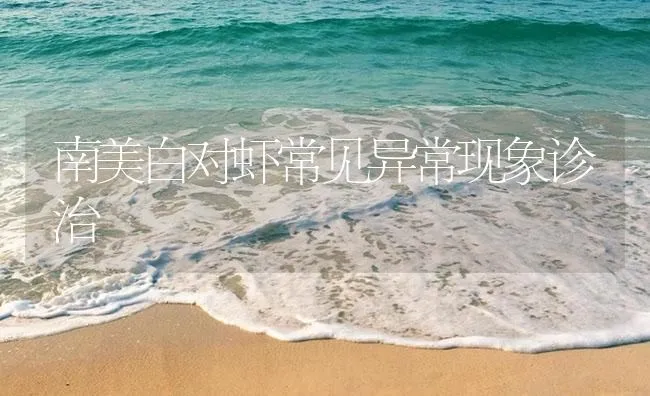 南美白对虾常见异常现象诊治 | 海水养殖技术