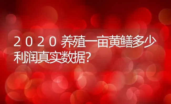 2020养殖一亩黄鳝多少利润真实数据？ | 动物养殖百科