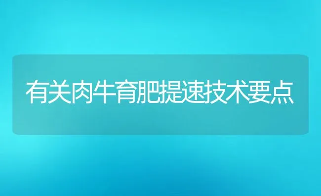 有关肉牛育肥提速技术要点 | 动物养殖饲料