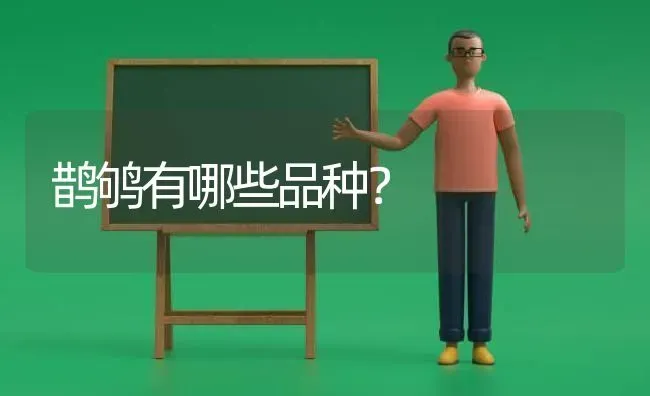 拉布拉多拉得太多怎么办？ | 动物养殖问答