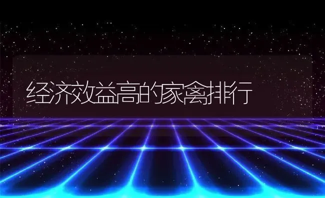 经济效益高的家禽排行 | 家畜养殖技术