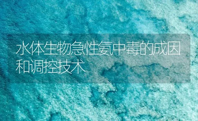 水体生物急性氨中毒的成因和调控技术 | 海水养殖技术