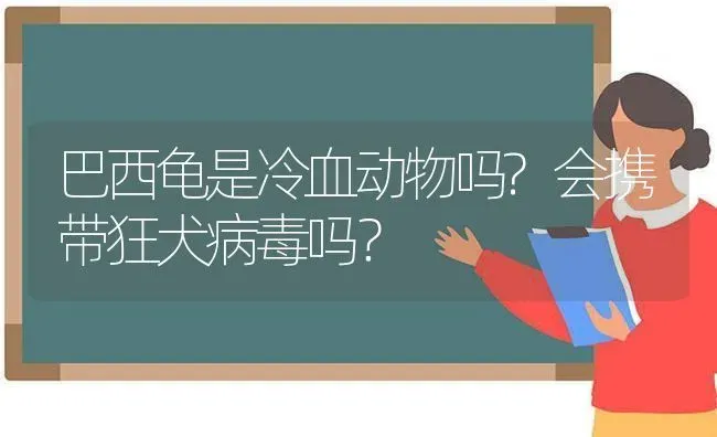 巴西龟是冷血动物吗?会携带狂犬病毒吗？ | 动物养殖问答