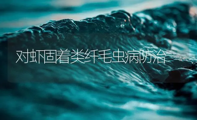 对虾固着类纤毛虫病防治 | 海水养殖技术