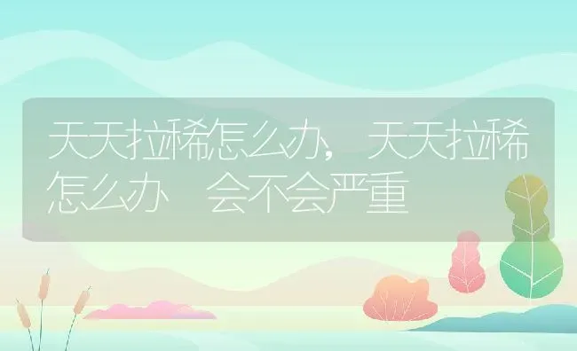 天天拉稀怎么办,天天拉稀怎么办 会不会严重 | 宠物百科知识