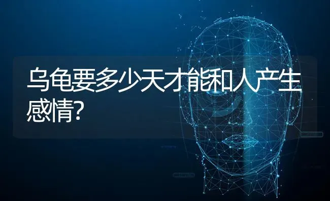 乌龟要多少天才能和人产生感情？ | 动物养殖问答