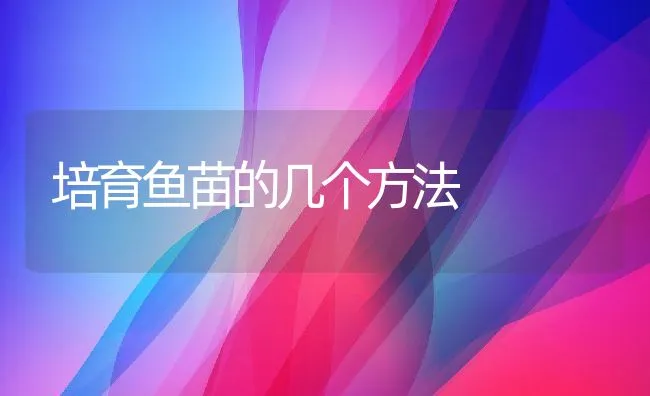 皮用兔品种力克斯兔 | 动物养殖学堂