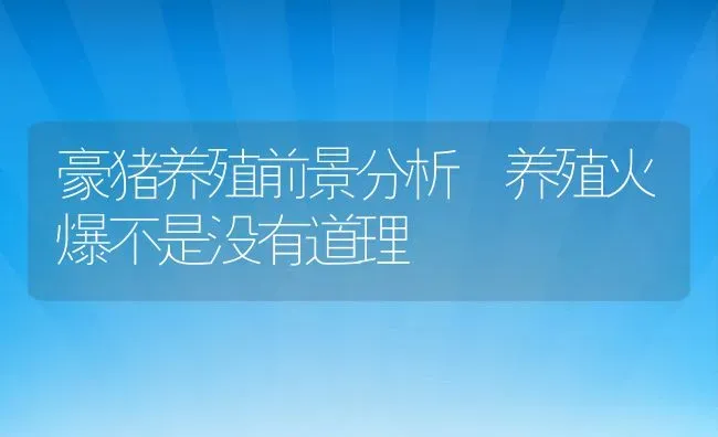 豪猪养殖前景分析 养殖火爆不是没有道理 | 动物养殖百科