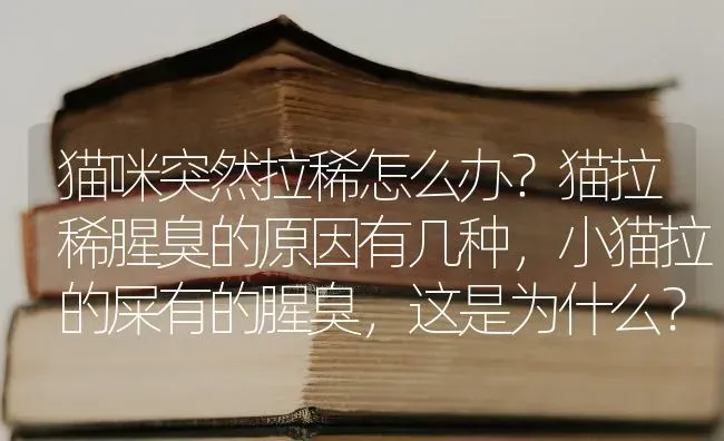 猫咪突然拉稀怎么办？猫拉稀腥臭的原因有几种，小猫拉的屎有的腥臭，这是为什么？怎么办？ | 动物养殖问答